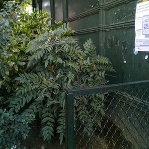 Meet your Posher, Carolyn